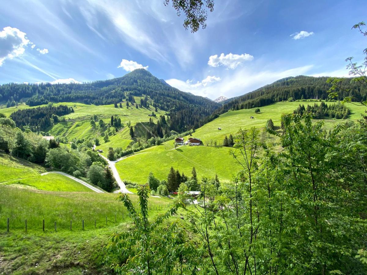 Pointhuette Villa Grossarl Kültér fotó